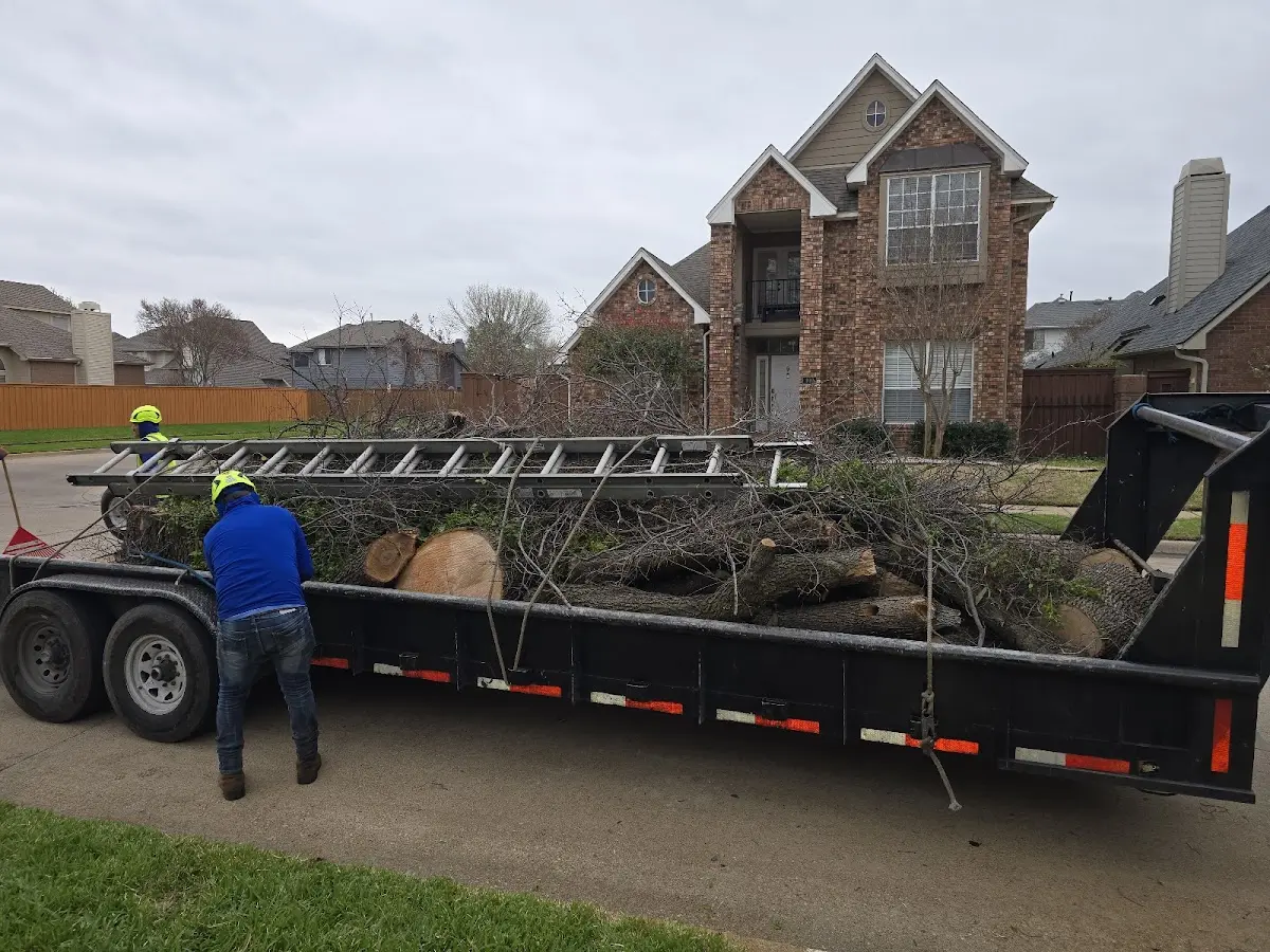 Expert Lot Clearing with proper safety equipment in Aurora